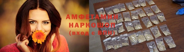 прущие грибы Ладушкин