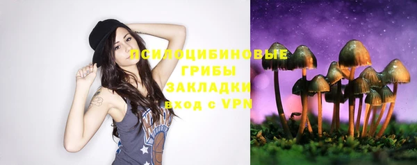 прущие грибы Ладушкин