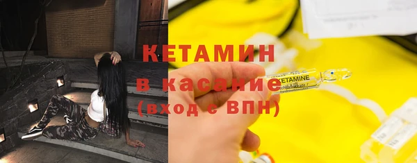 прущие грибы Ладушкин