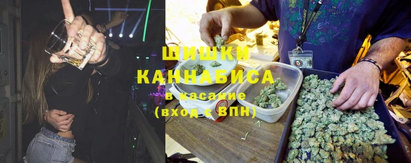 гашик Россошь