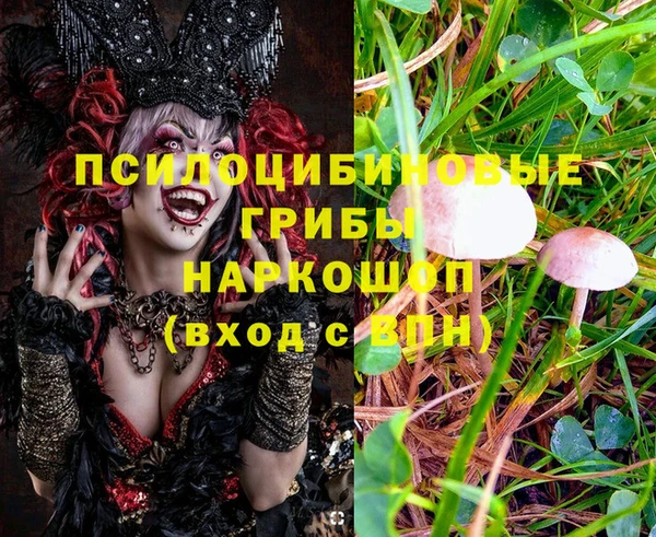 ALPHA PVP Магас