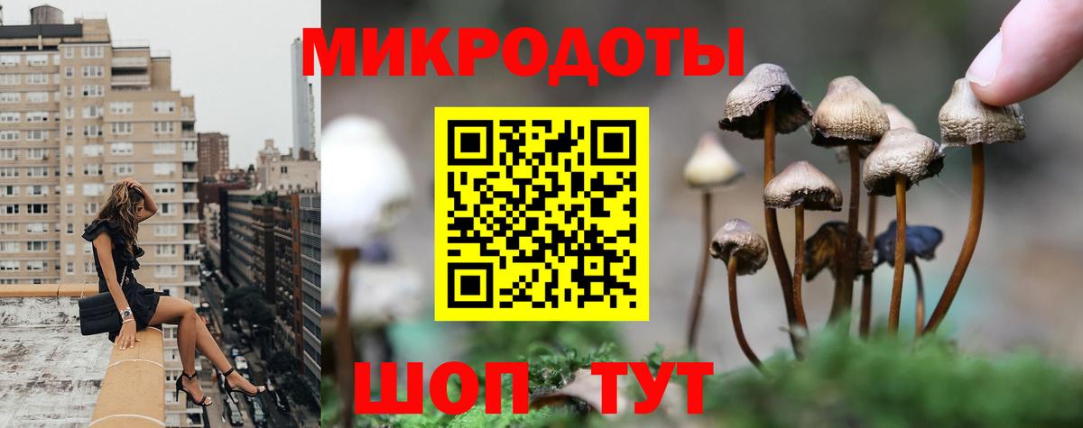 Псилоцибиновые грибы Psilocybine cubensis Конаково